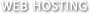 online webhosting